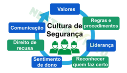 cultura de segurança